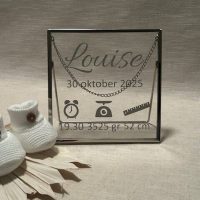 Lijstje met gegevens 3